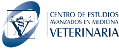 Sitio de enseñanza